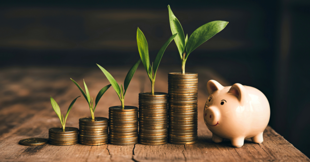 Senior Living Marketing: The Real Cost of Not Investing 1 a pig and money
